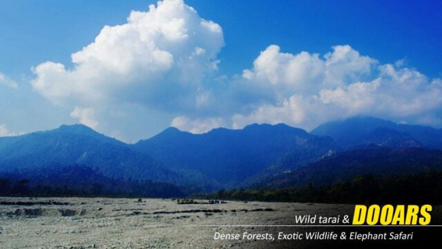 dooars-tour-package