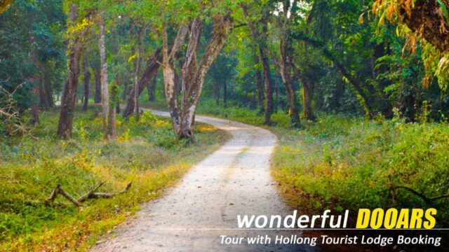 dooars-tour-packages-from-siliguri